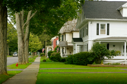 Image of trees in the North Marysville, WA area, by Arlington Pediatric Dentistry.